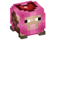 Skinfile