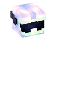 Skinfile