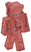 Skinfile