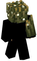Skinfile