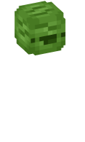 Skinfile