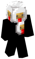 Skinfile