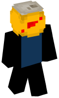 Skinfile