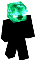 Skinfile