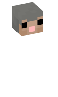 Skinfile