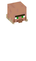 Skinfile