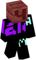 Skinfile