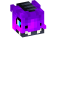 Skinfile