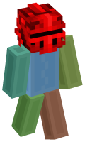 Skinfile