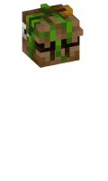 Skinfile