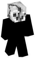 Skinfile
