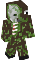 Skinfile