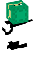 Skinfile
