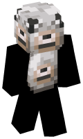 Skinfile
