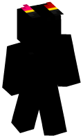Skinfile