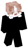 Skinfile