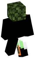 Skinfile