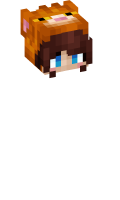 Skinfile