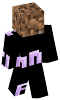 Skinfile