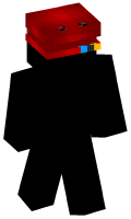 Skinfile
