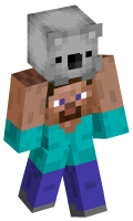 Skinfile
