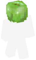 Skinfile