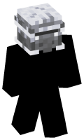 Skinfile