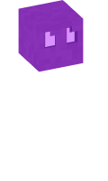 Skinfile