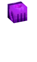 Skinfile