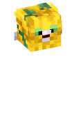 Skinfile