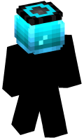 Skinfile