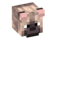 Skinfile