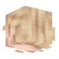 3D Render Back