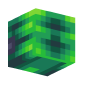 3D Render Back