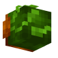 3D Render Back