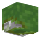 3D Render Back