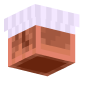 3D Render Back
