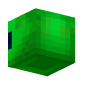 3D Render Back
