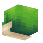 3D Render Back