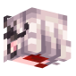 3D Render Back