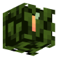 3D Render Back