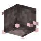 3D Render Back