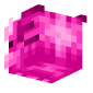 3D Render Back