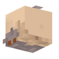 3D Render Back