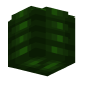 3D Render Back
