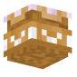 3D Render Back