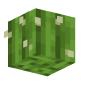 3D Render Back