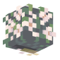 3D Render Back