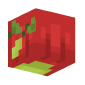 3D Render Back