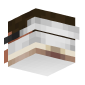 3D Render Back